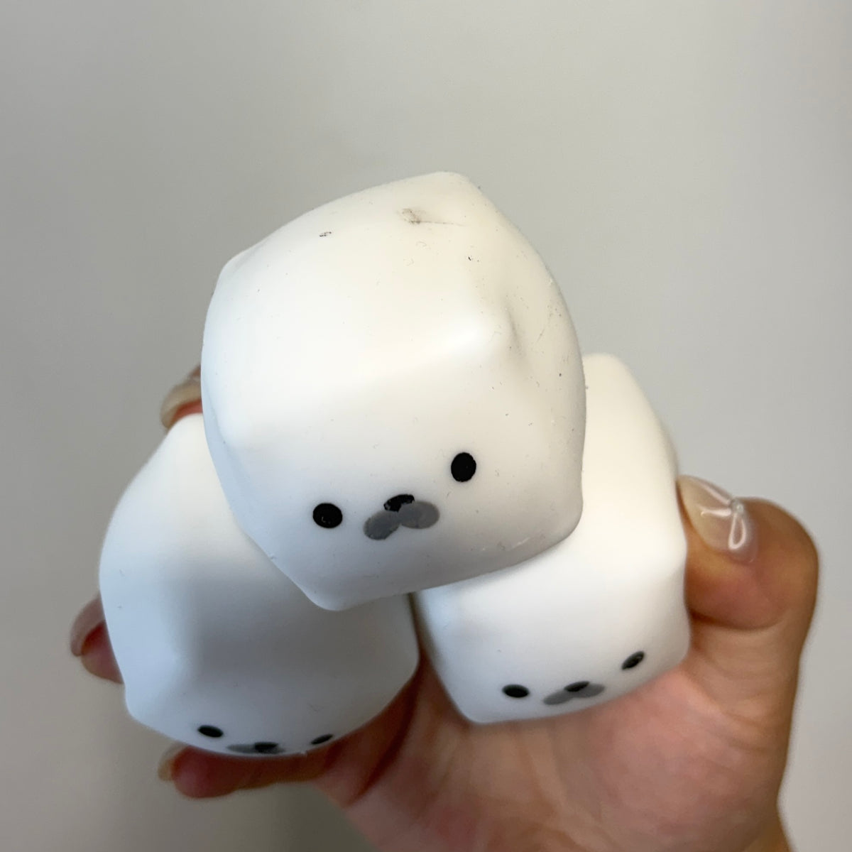 Crunchy Seal Pup