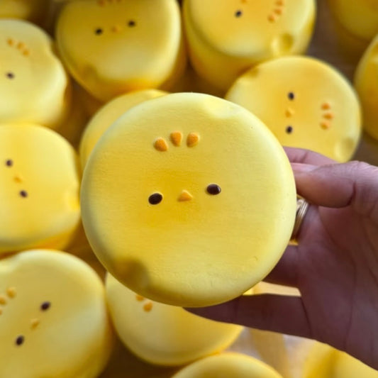 Cheesy Chick Slow Rise Squishy