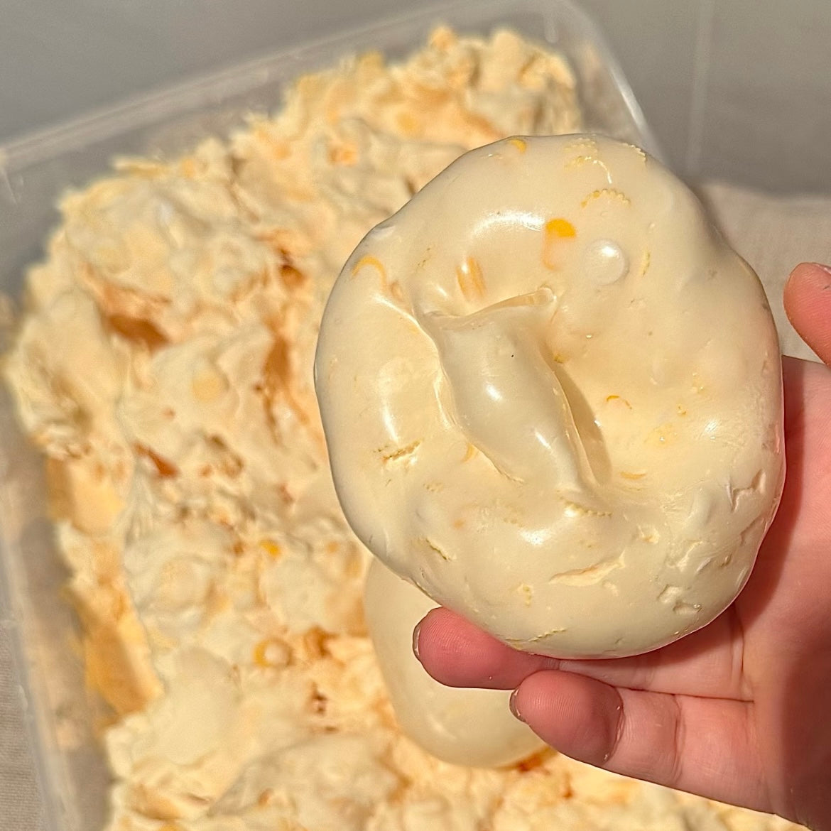 Mango Jasmine Iced Stress Ball (ship Within 30 Days)