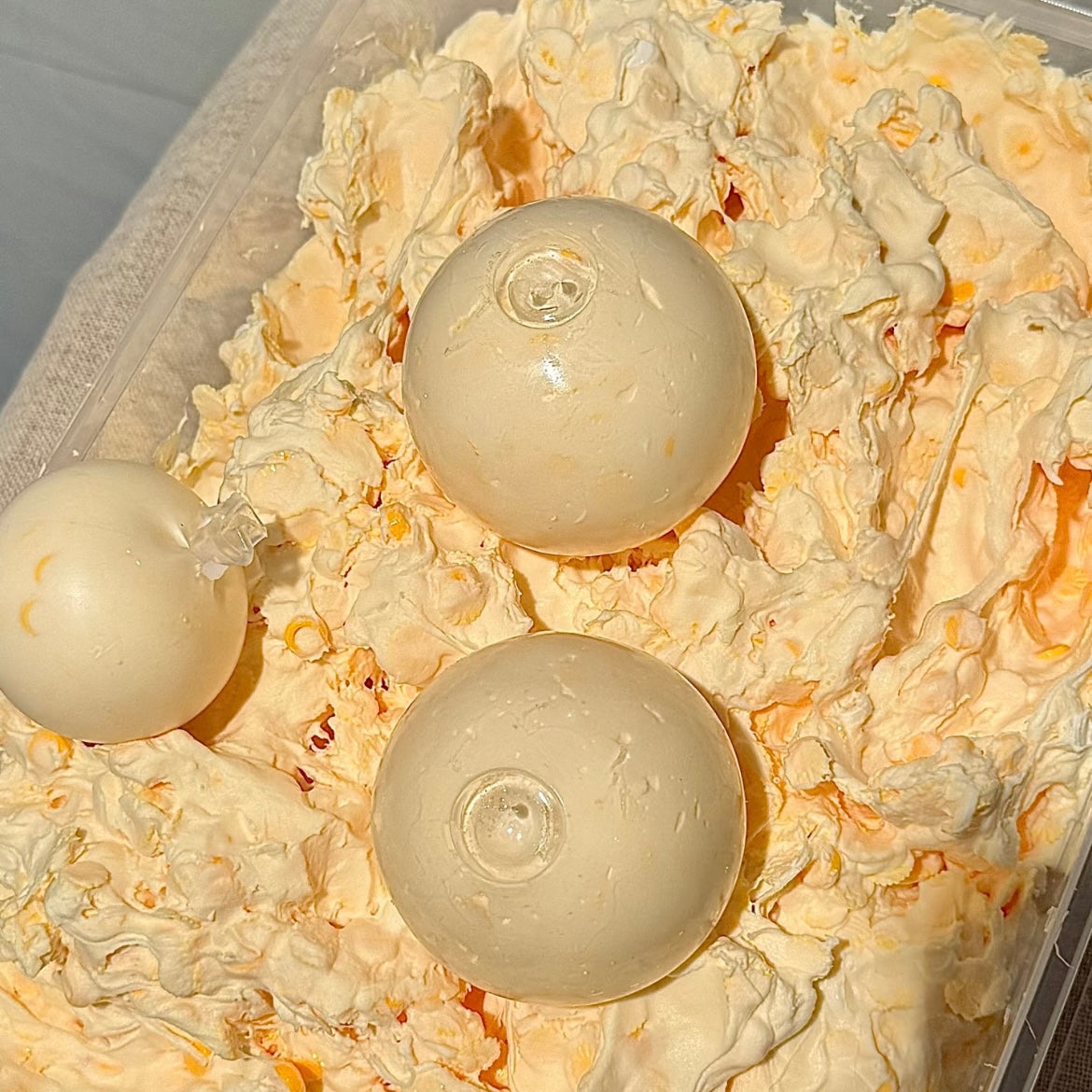 Mango Jasmine Iced Stress Ball (ship Within 30 Days)